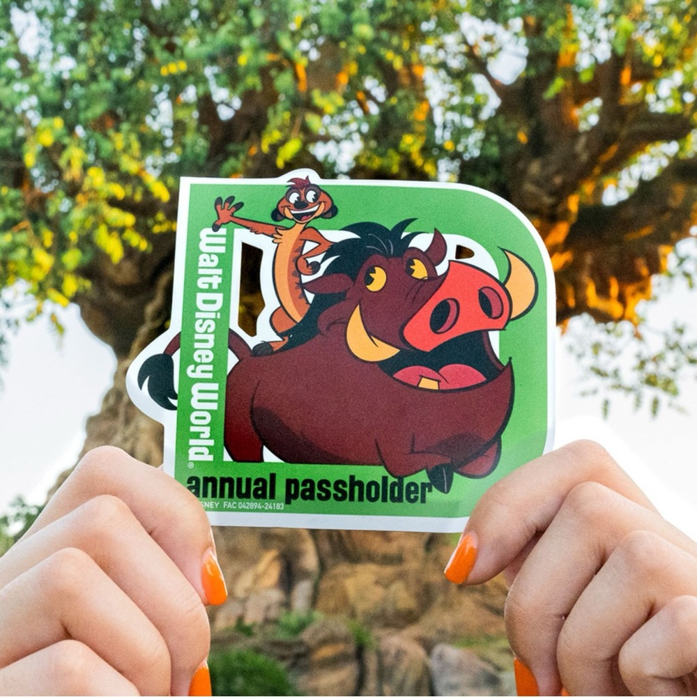 Disney World Annual Passholder Magnet Timon & Pumba